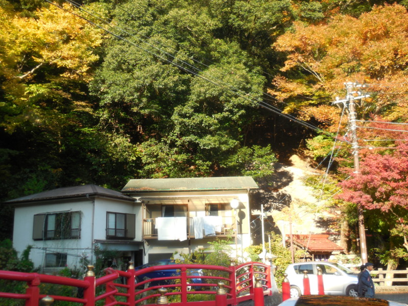 f:id:sasameyuki47:20141122144654j:image:w360 f:id:sasameyuki47:20141122144654j:image:w360