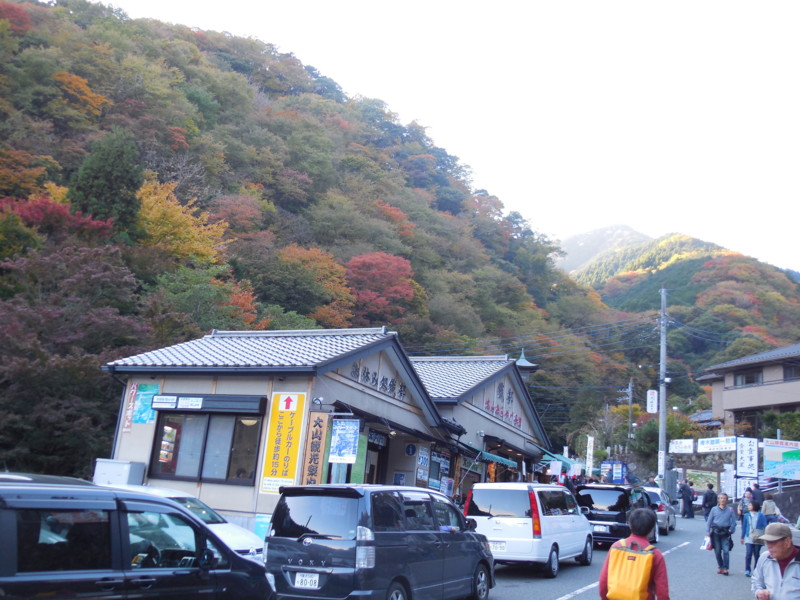 f:id:sasameyuki47:20141122145455j:image:w360 f:id:sasameyuki47:20141122145455j:image:w360