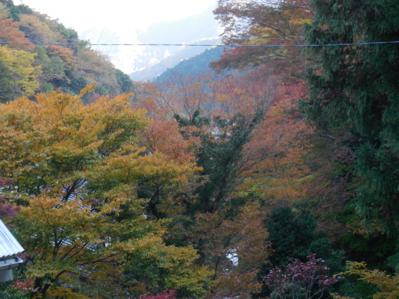 f:id:sasameyuki47:20141122151027j:image:w360 f:id:sasameyuki47:20141122151027j:image:w360