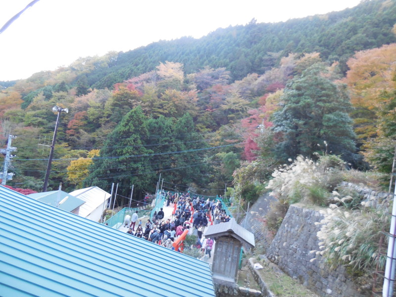 f:id:sasameyuki47:20141122153820j:image:w360 f:id:sasameyuki47:20141122153820j:image:w360