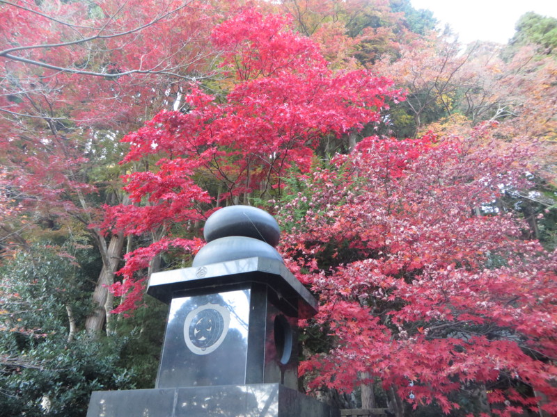 f:id:sasameyuki47:20141122154832j:image:w640 f:id:sasameyuki47:20141122154832j:image:w640