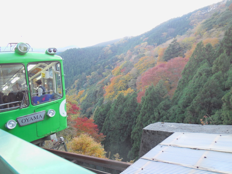 f:id:sasameyuki47:20141122155111j:image:w360 f:id:sasameyuki47:20141122155111j:image:w360