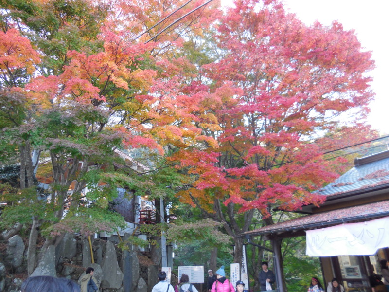 f:id:sasameyuki47:20141122155325j:image:w360 f:id:sasameyuki47:20141122155325j:image:w360