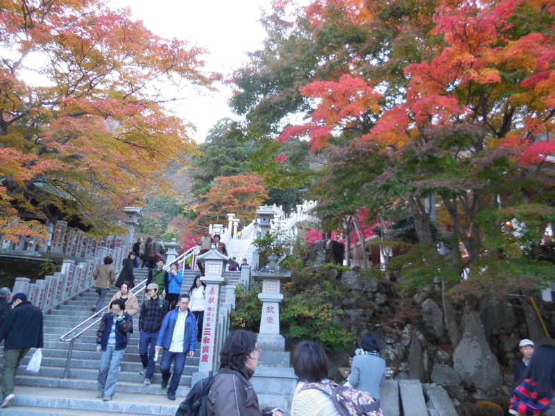 f:id:sasameyuki47:20141122155337j:image:w640 f:id:sasameyuki47:20141122155337j:image:w640
