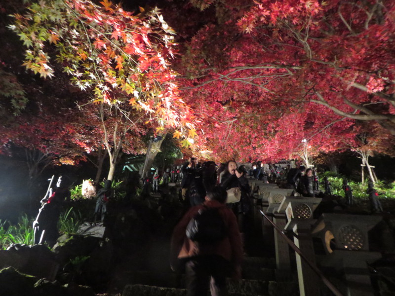 f:id:sasameyuki47:20141122171517j:image:w360 f:id:sasameyuki47:20141122171517j:image:w360