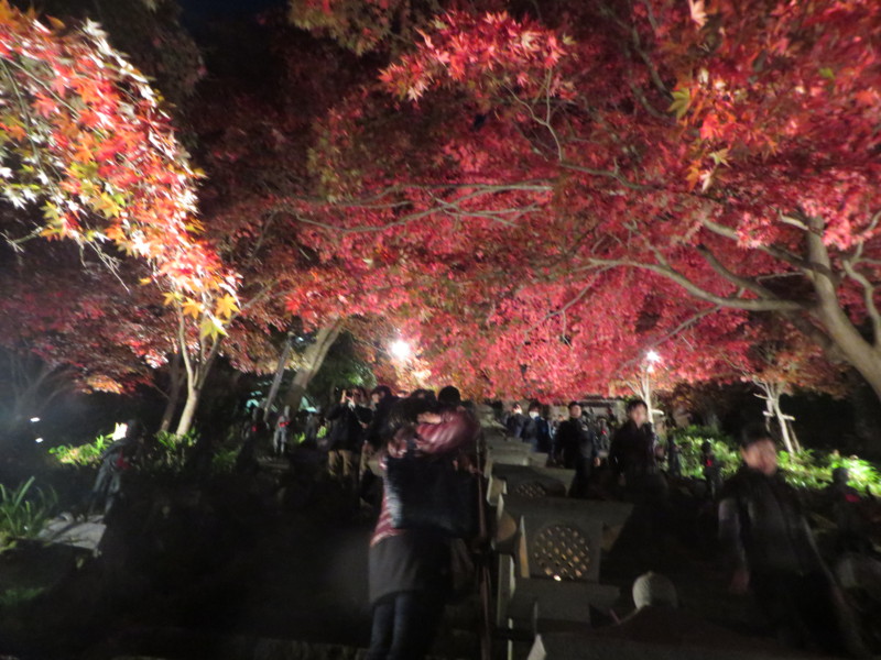 f:id:sasameyuki47:20141122171530j:image:w360 f:id:sasameyuki47:20141122171530j:image:w360