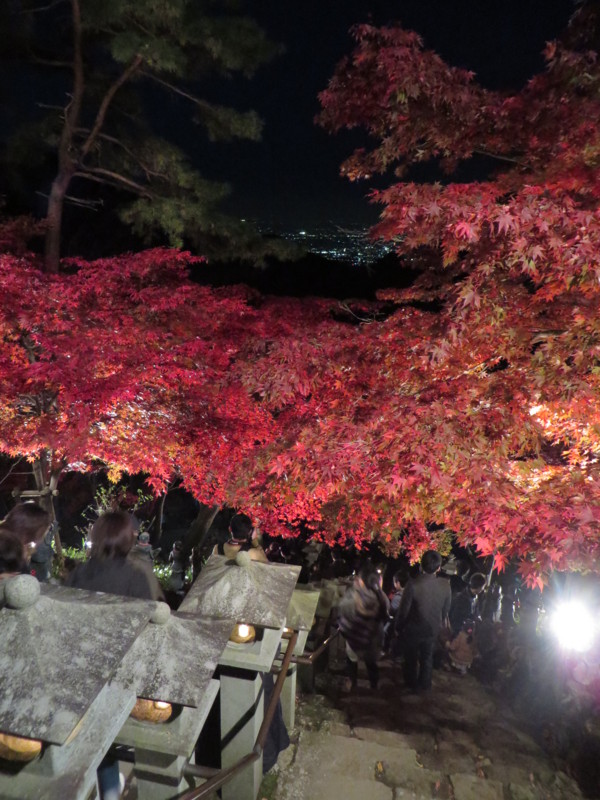 f:id:sasameyuki47:20141122172043j:image:w360 f:id:sasameyuki47:20141122172043j:image:w360