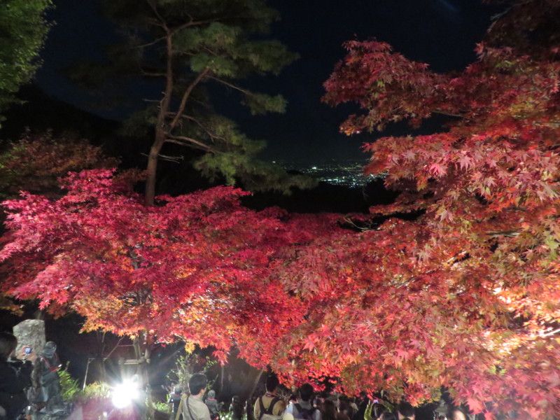 f:id:sasameyuki47:20141122172111j:image:w640 f:id:sasameyuki47:20141122172111j:image:w640