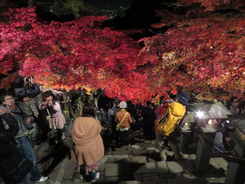 f:id:sasameyuki47:20141122174735j:image:w640 f:id:sasameyuki47:20141122174735j:image:w640