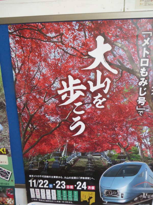 f:id:sasameyuki47:20141123102943j:image:w360:right