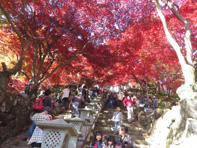 f:id:sasameyuki47:20141123104432j:image:w640