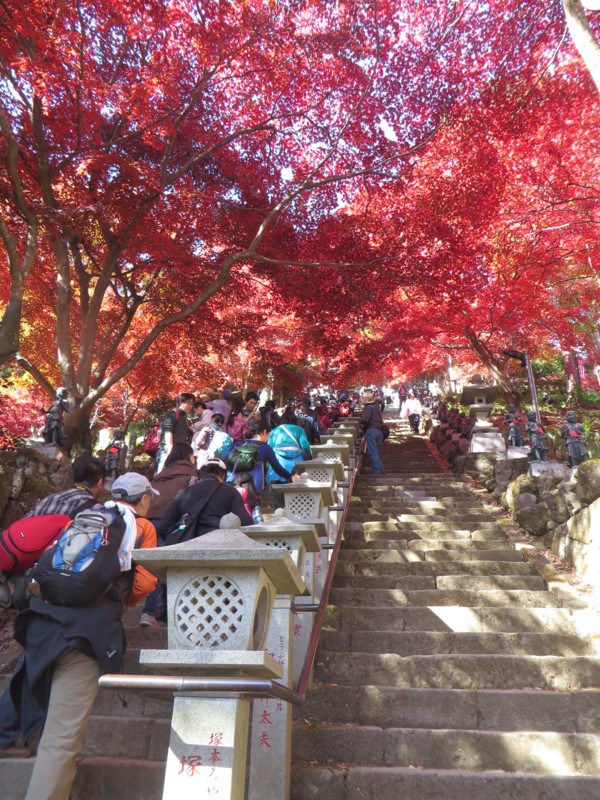 f:id:sasameyuki47:20141123104531j:image:w360