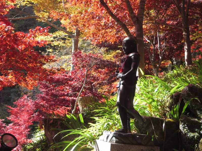 f:id:sasameyuki47:20141123104758j:image:w640