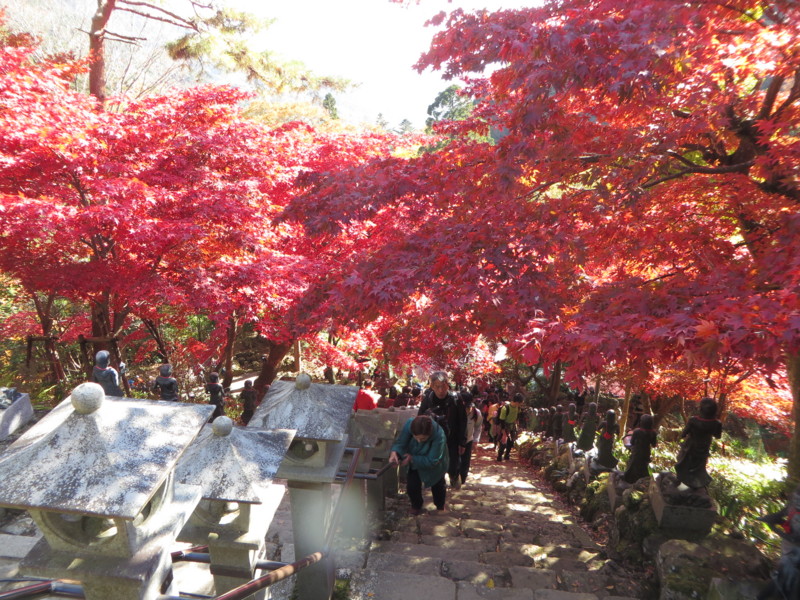 f:id:sasameyuki47:20141123105042j:image:w640