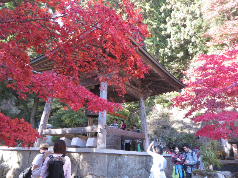f:id:sasameyuki47:20141123105605j:image:w360