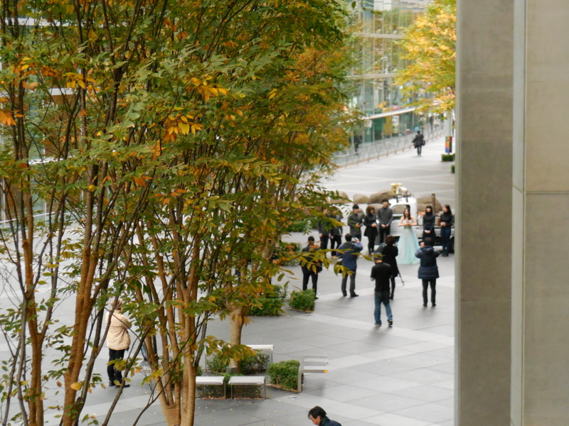 f:id:sasameyuki47:20141204114556j:image:w360 f:id:sasameyuki47:20141204114556j:image:w360