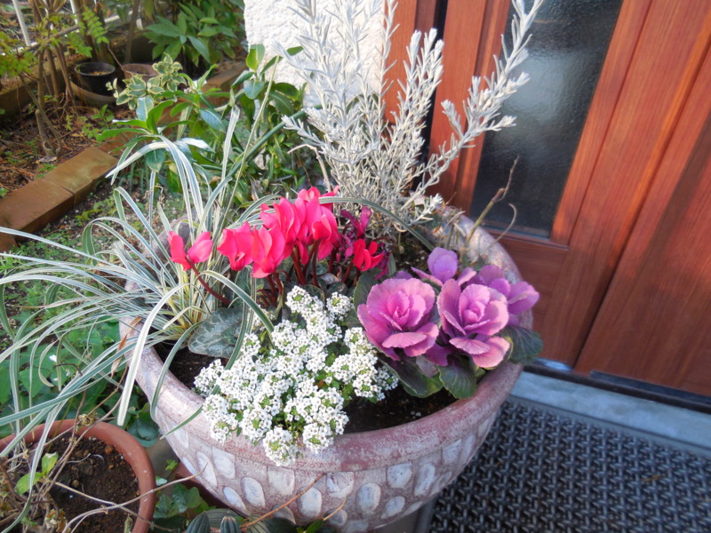 f:id:sasameyuki47:20141222092722j:image:w360 f:id:sasameyuki47:20141222092722j:image:w360