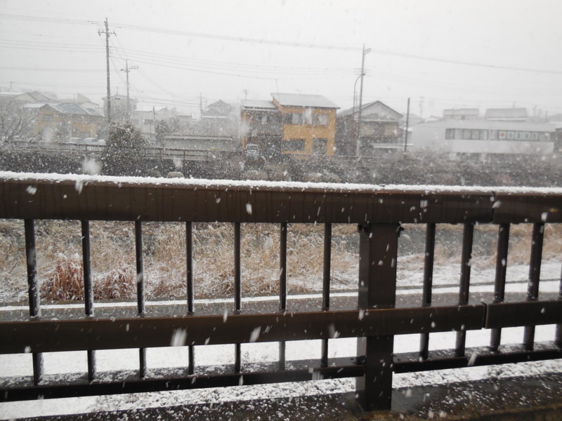 f:id:sasameyuki47:20150101153506j:image:w360 f:id:sasameyuki47:20150101153506j:image:w360