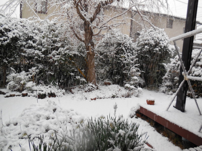 f:id:sasameyuki47:20150101162315j:image:w360 f:id:sasameyuki47:20150101162315j:image:w360