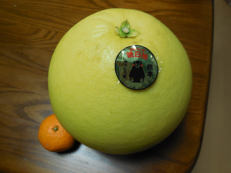 f:id:sasameyuki47:20150104225857j:image:w360 f:id:sasameyuki47:20150104225857j:image:w360
