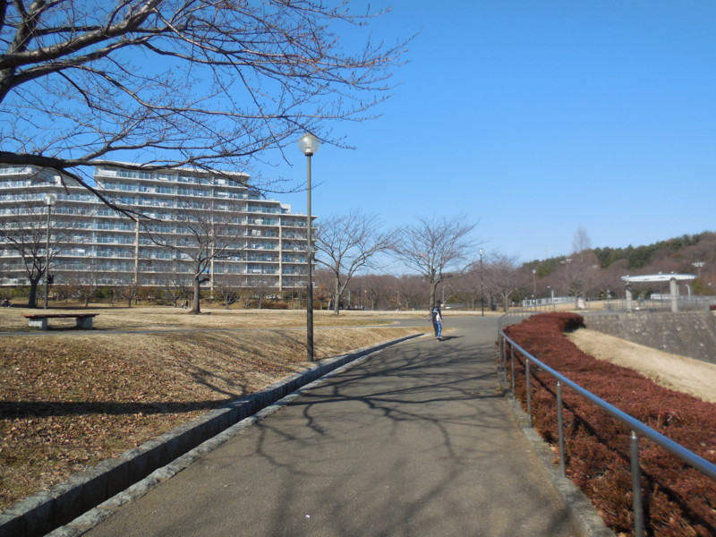 f:id:sasameyuki47:20150105123950j:image:w360 f:id:sasameyuki47:20150105123950j:image:w360