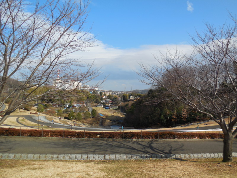 f:id:sasameyuki47:20150106122111j:image:w360 f:id:sasameyuki47:20150106122111j:image:w360