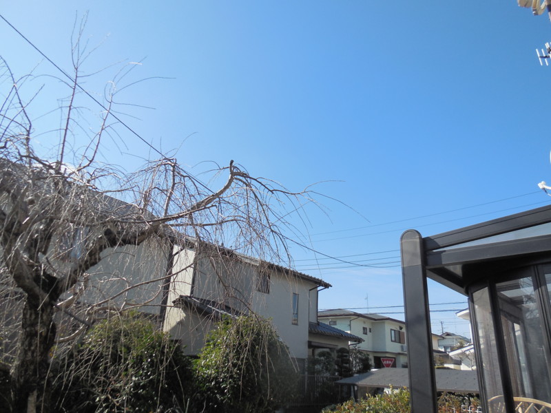 f:id:sasameyuki47:20150116114822j:image:w360 f:id:sasameyuki47:20150116114822j:image:w360