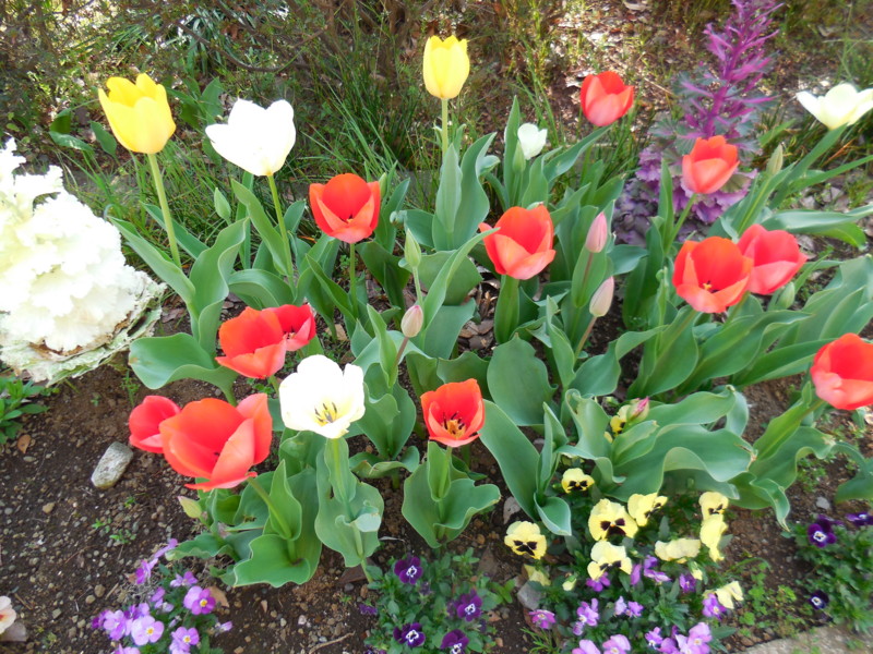 f:id:sasameyuki47:20150331095924j:image:w360 f:id:sasameyuki47:20150331095924j:image:w360