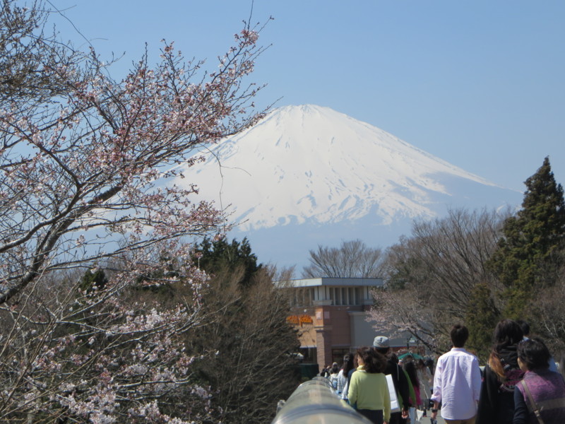 f:id:sasameyuki47:20150331124836j:image:w640 f:id:sasameyuki47:20150331124836j:image:w640