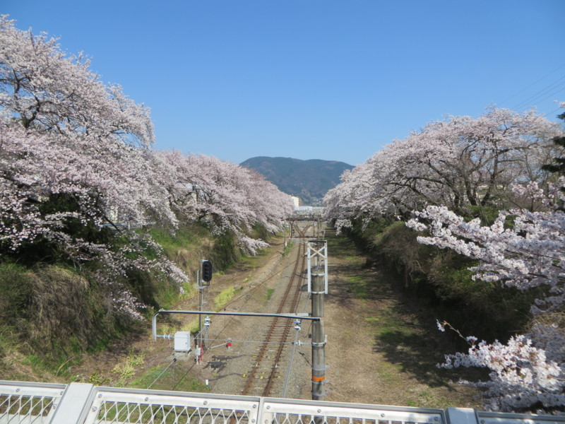 f:id:sasameyuki47:20150331141902j:image:w640 f:id:sasameyuki47:20150331141902j:image:w640