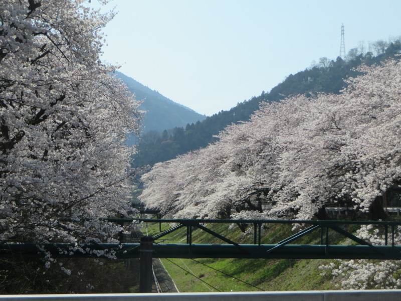 f:id:sasameyuki47:20150331142140j:image:w640 f:id:sasameyuki47:20150331142140j:image:w640