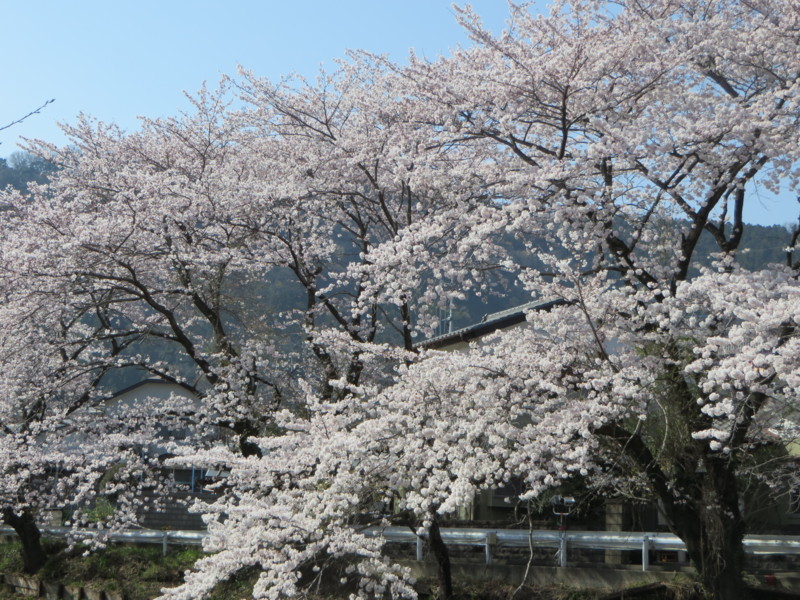 f:id:sasameyuki47:20150331142508j:image:w640 f:id:sasameyuki47:20150331142508j:image:w640