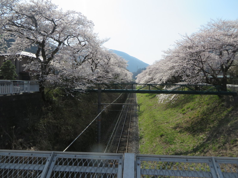 f:id:sasameyuki47:20150331143601j:image:w640 f:id:sasameyuki47:20150331143601j:image:w640