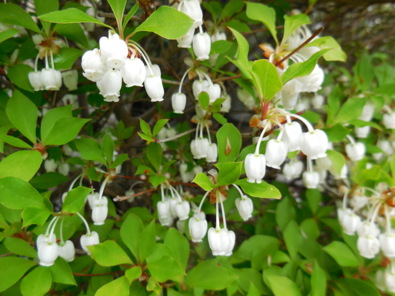 f:id:sasameyuki47:20150421131730j:image:w360 f:id:sasameyuki47:20150421131730j:image:w360