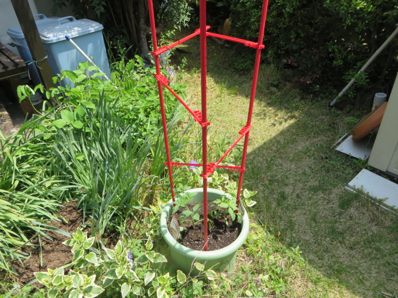 f:id:sasameyuki47:20150426105228j:image:w360 f:id:sasameyuki47:20150426105228j:image:w360