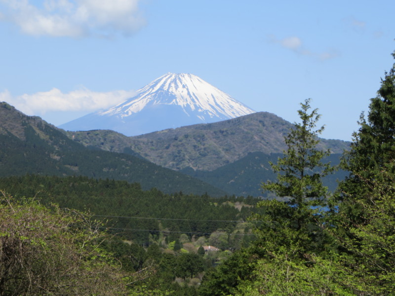 f:id:sasameyuki47:20150501100255j:image:w640 f:id:sasameyuki47:20150501100255j:image:w640