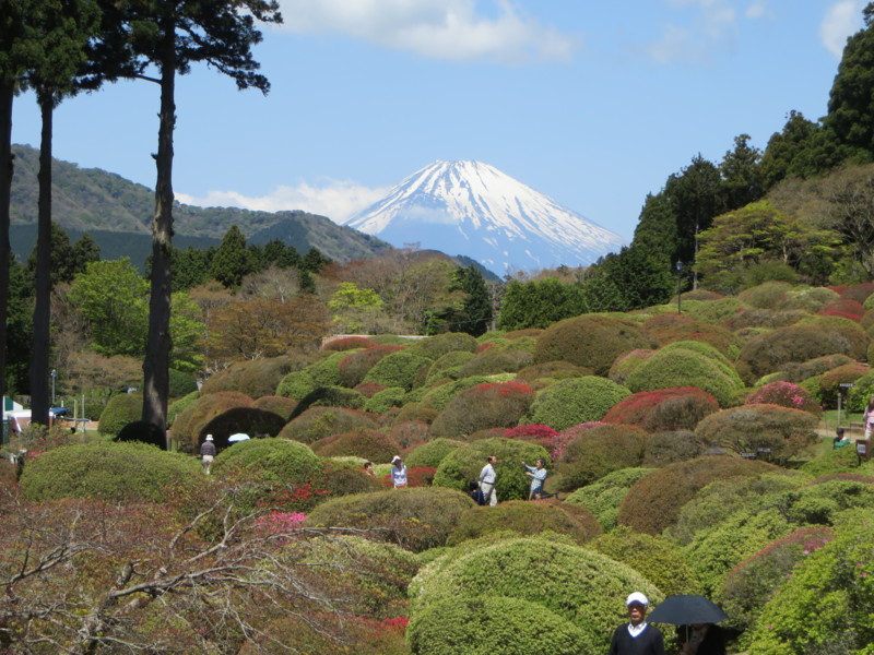 f:id:sasameyuki47:20150501102918j:image:w640 f:id:sasameyuki47:20150501102918j:image:w640