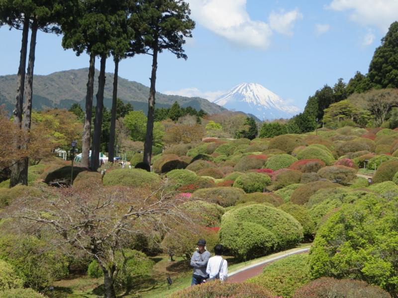 f:id:sasameyuki47:20150501103540j:image:w640 f:id:sasameyuki47:20150501103540j:image:w640