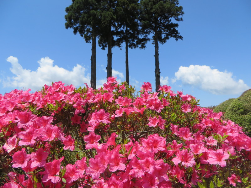 f:id:sasameyuki47:20150501105518j:image:w360 f:id:sasameyuki47:20150501105518j:image:w360