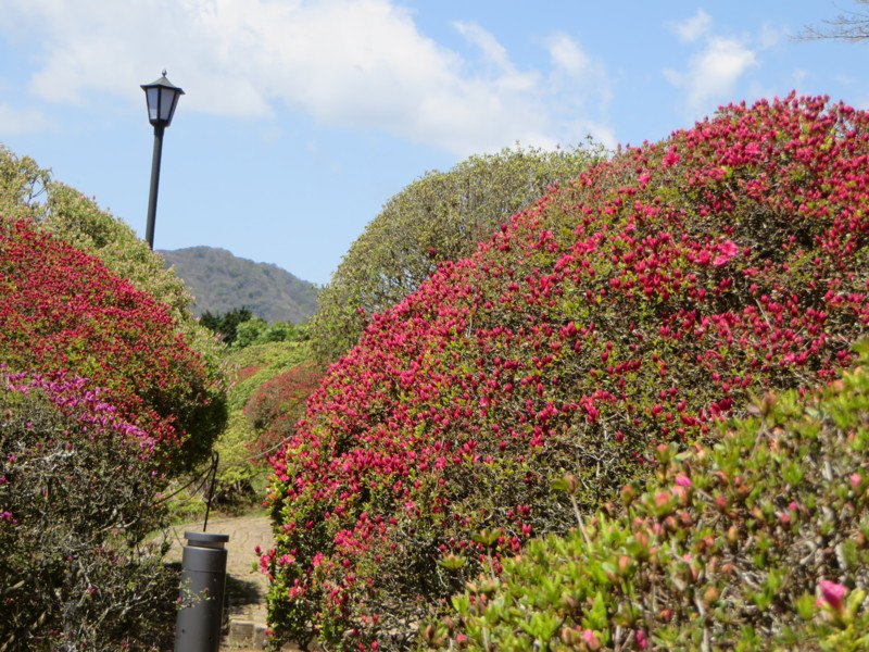 f:id:sasameyuki47:20150501105758j:image:w360 f:id:sasameyuki47:20150501105758j:image:w360