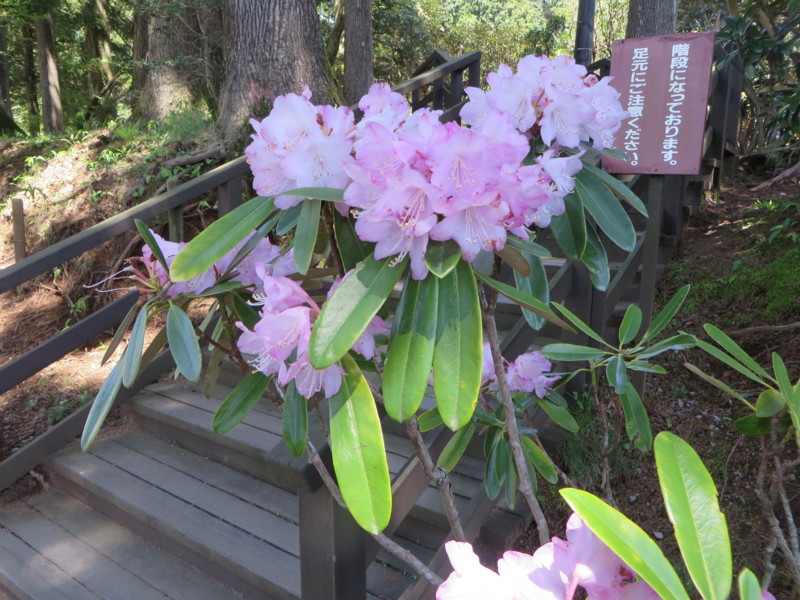 f:id:sasameyuki47:20150501105917j:image:w360 f:id:sasameyuki47:20150501105917j:image:w360
