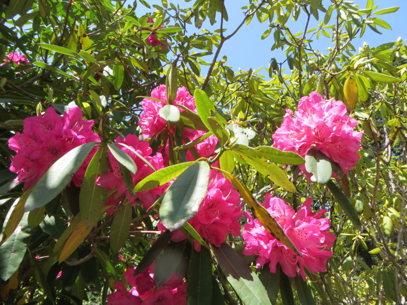 f:id:sasameyuki47:20150501110444j:image:w360 f:id:sasameyuki47:20150501110444j:image:w360