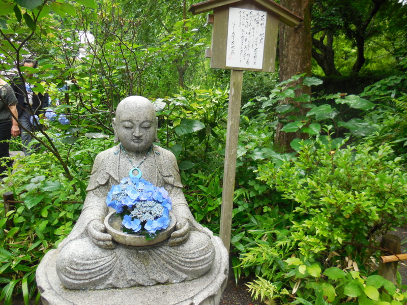f:id:sasameyuki47:20150618153044j:image:w360 f:id:sasameyuki47:20150618153044j:image:w360