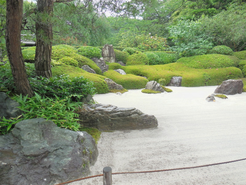 f:id:sasameyuki47:20150618153348j:image:w360 f:id:sasameyuki47:20150618153348j:image:w360