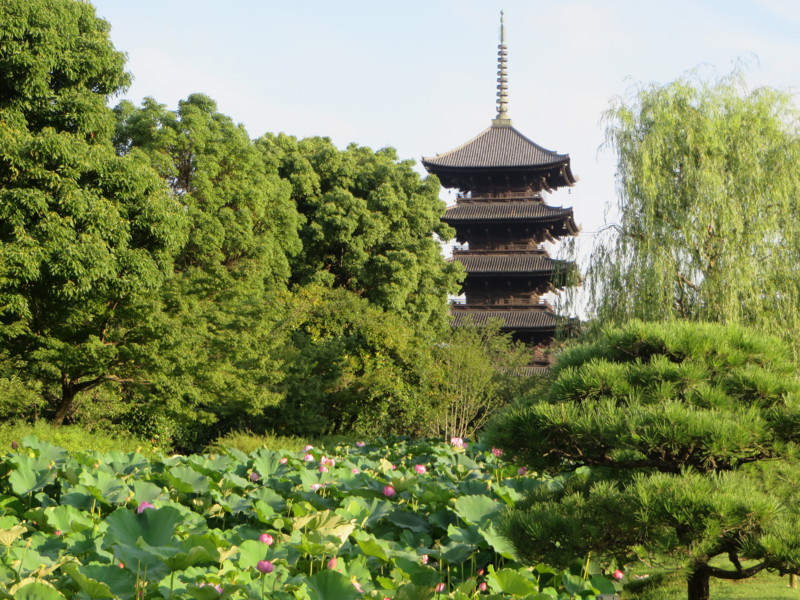f:id:sasameyuki47:20150718174726j:image:w640 f:id:sasameyuki47:20150718174726j:image:w640