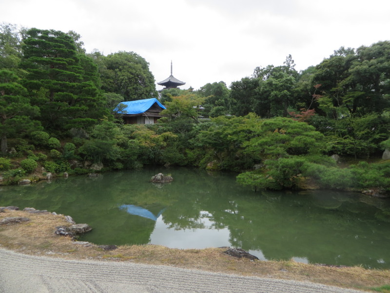 f:id:sasameyuki47:20150719102703j:image:w360 f:id:sasameyuki47:20150719102703j:image:w360