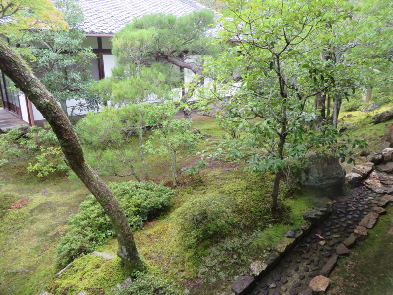 f:id:sasameyuki47:20150719103002j:image:w360 f:id:sasameyuki47:20150719103002j:image:w360