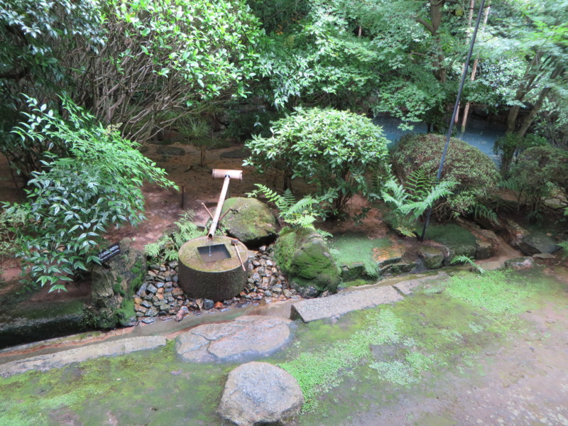 f:id:sasameyuki47:20150719113431j:image:w360 f:id:sasameyuki47:20150719113431j:image:w360