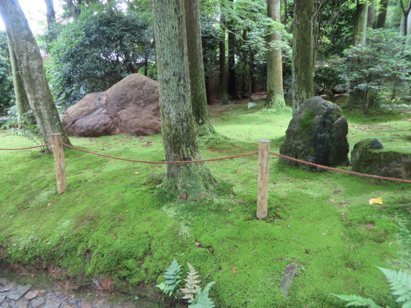f:id:sasameyuki47:20150719114318j:image:w360 f:id:sasameyuki47:20150719114318j:image:w360