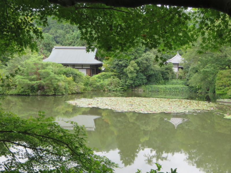 f:id:sasameyuki47:20150719114835j:image:w360 f:id:sasameyuki47:20150719114835j:image:w360